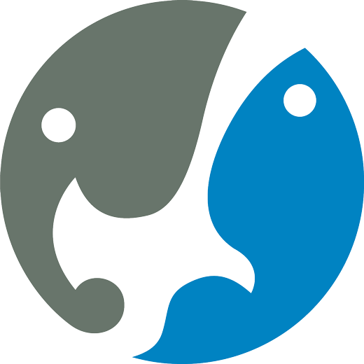 loader image
